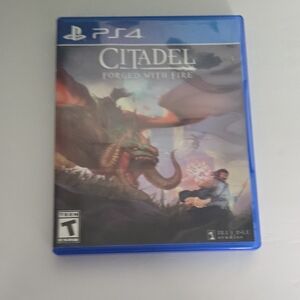 Citadel: Forged with Fire - Blue Case